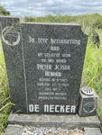 NECKER Pieter Josua Hendrik, de 1925-1965
