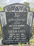 GROENEWALD Hermanus 1916-1923