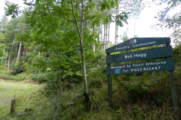 Bellhagg Wood