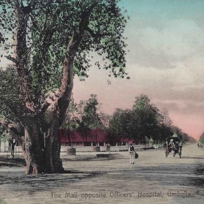 The Mall opposite Offiers Hospital Umballa (Ambala India, where many Boer War Bittereinders were sent to build the British-India