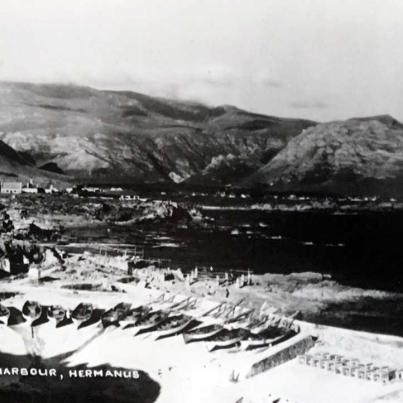 The Old Harbour Hermanus