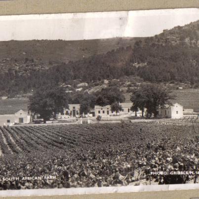 Paarl, Vredehof farm
