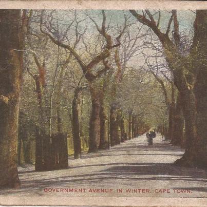 Government Avenue, Cape Town