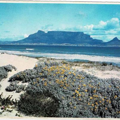 Table Mountain