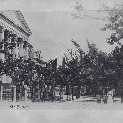 The Avenue Cape Town. This postcard is printed on thin metal.