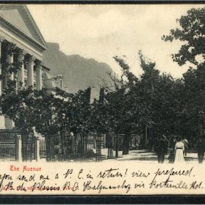 Cape Town The Avenue