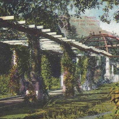 Pergola, Muncipal Gardens Cape Town