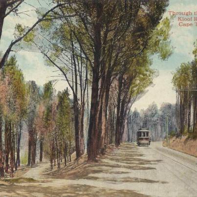Through the Pines, Kloof Road