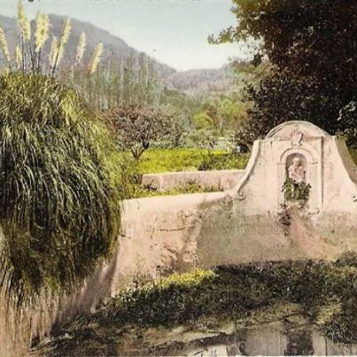 Groot Constantia Old Swimming Bath