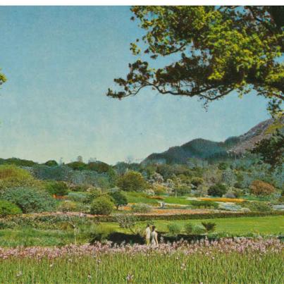 Kirstenbosch, Cape Town