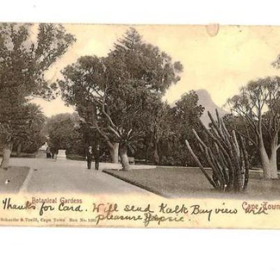 Cape Town Botanical Gardens 1904
