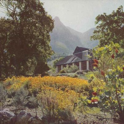 The Tea House, Kirstenbosch Botanical Gardens, postal cancellation 1960