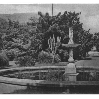 Cape Town, fountain in botanical gardens