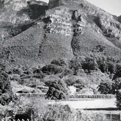 Kirstenbosch Gardens Cape Town