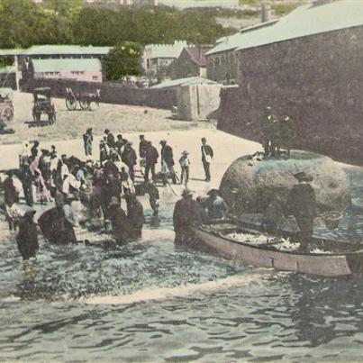 Simon's Town dated 22 May 1905