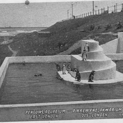 East London Aquarium