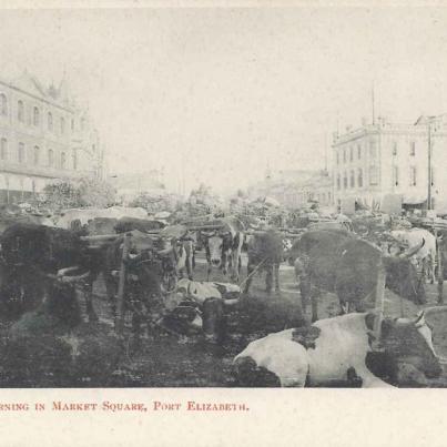 Early morning in Market Square, Port Elizabeth