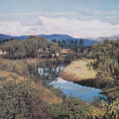 Near Sabie, Eastern Transvaal