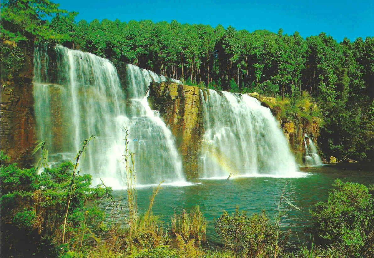 Forest Waterval_Oos Tvl