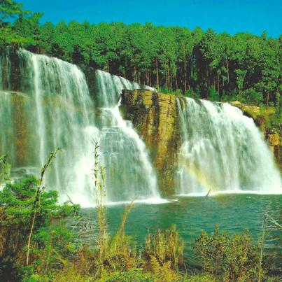 Forest Waterval_Oos Tvl