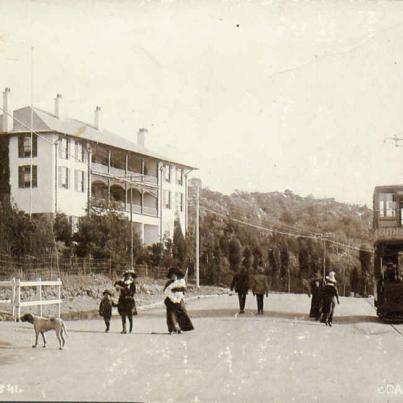 Johannesburg Orange Grove