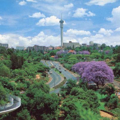 The Wilds Johannesburg