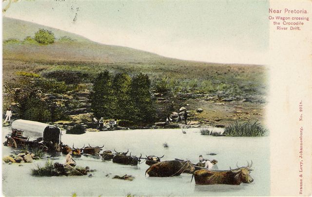 Pretoria Ox Wagon through Crocodile River Drift