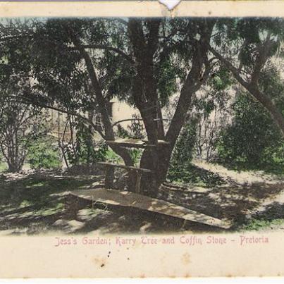 Pretoria Jess's Garden; Karry Tree &amp; Coffin stone