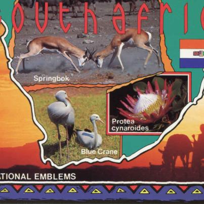 South Africa National Emblems