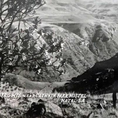 Drakensberg near Cathkin Park Hostel