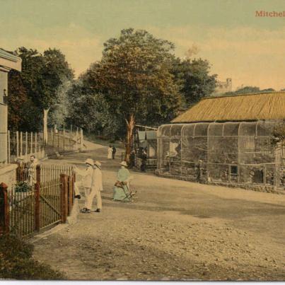 Durban, Mitchell Park Zoo