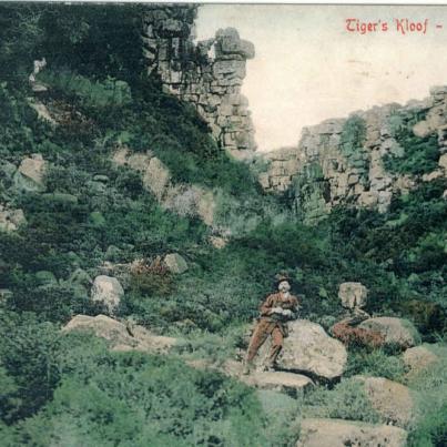 NEWCASTLE Tiger's Kloof