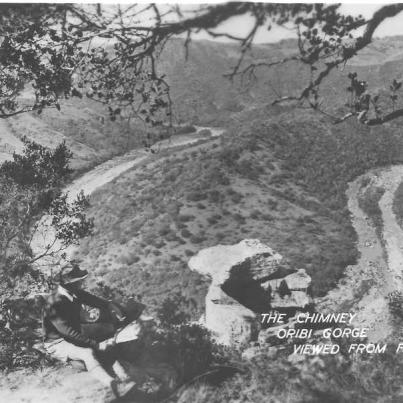 Oribi