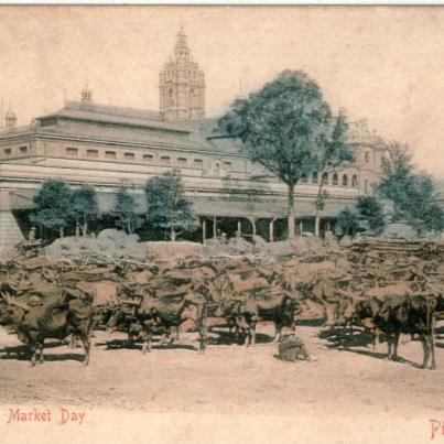 PIETERMARITZBURG Market Day