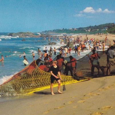 The Sardine Run, Natal