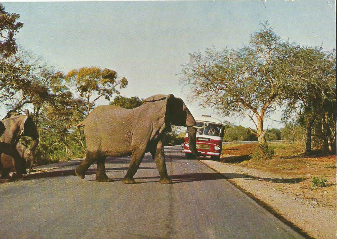 Nasionale Krugerwildtuin, 'n S.A. Spoorwegbus (S.A.S. Diamantjubileum 1910-1970)