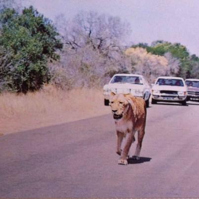 Nasionale Krugerwildtuin, Voetgangers
