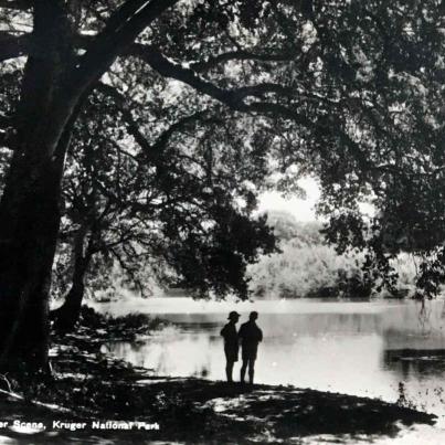 River Scene Kruger National Park