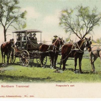 Prospector's Cart In Northern Tvl