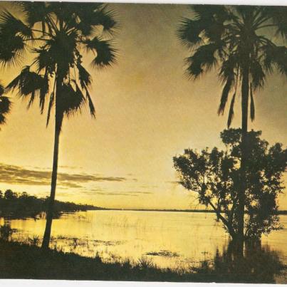 Sunset in Zambesi River Rhodesia