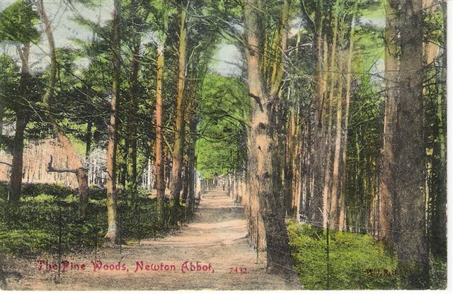 Newton Abbot The Pine Woods