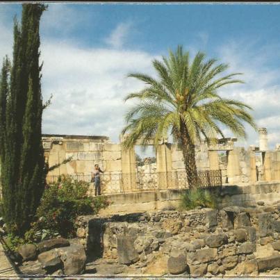 Capernaum, View of the Ancient Synagogue