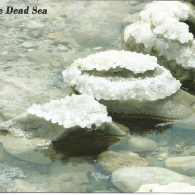The Dead Sea
