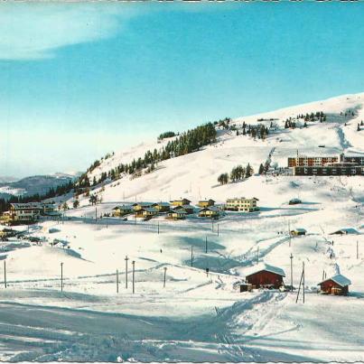 Dolomiti - Alpe di Siusi ( 1860m )