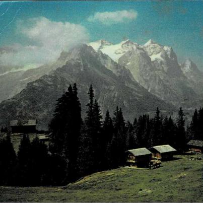Wetterhorn - Swiss Alps