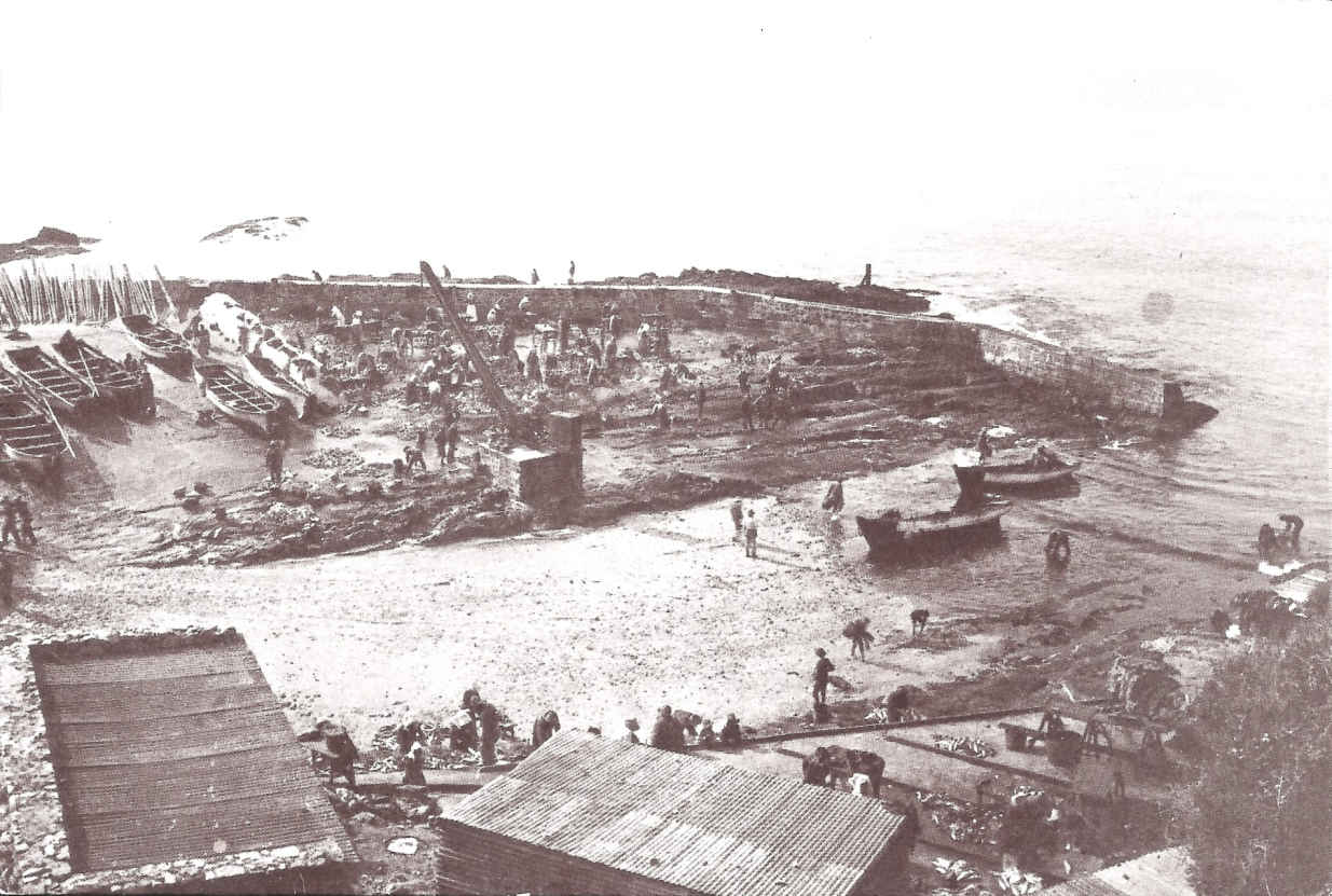 The old Hermanus harbour 1905
