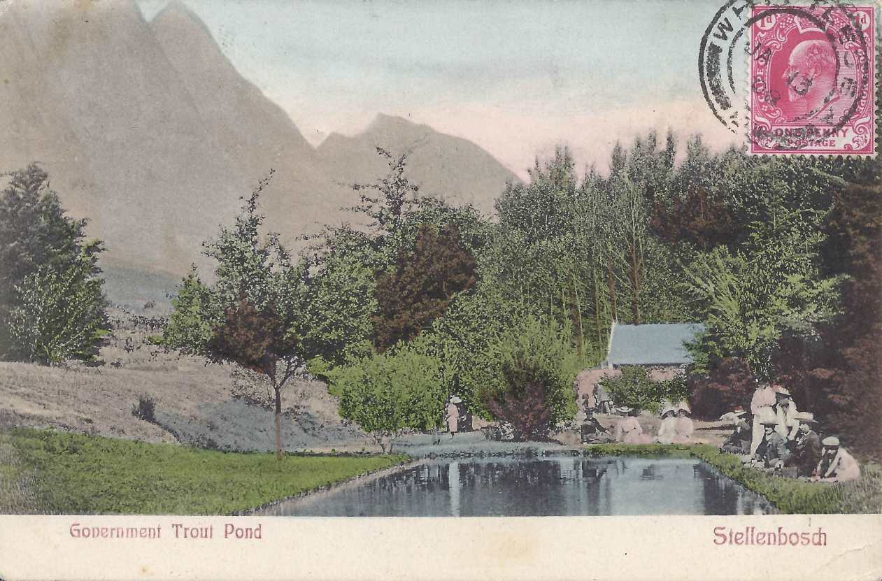 Government Trout pond, Stellenbosch, postal cancellation 1908
