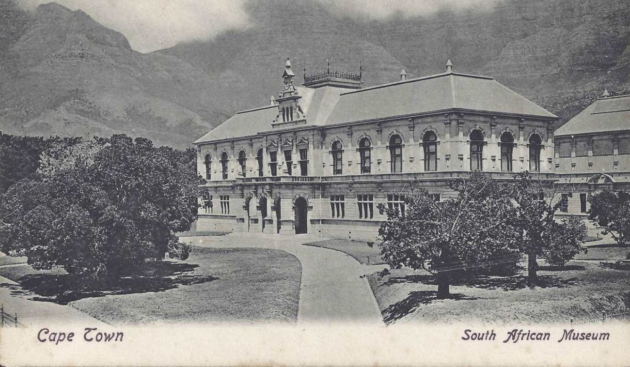 South African Museum Cape Town