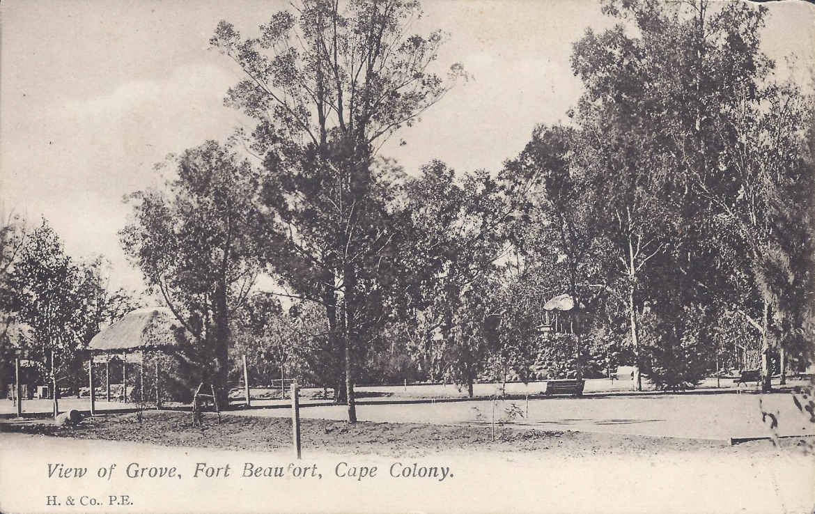 View of the grove, Fort Beaufort, postal cancellation at Grahamstown on 27.8.1906