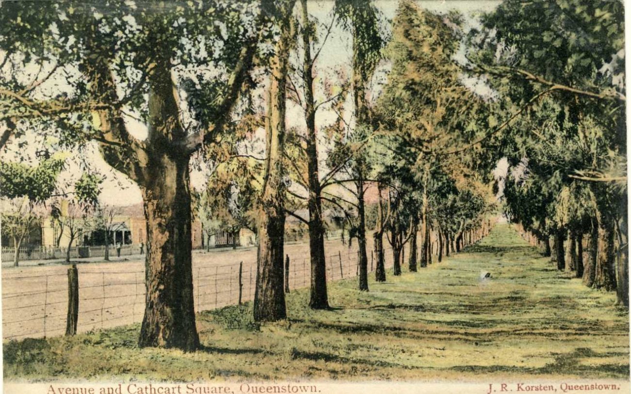 Queenstown Avenue and Cathcart Sq., posted dated 1910